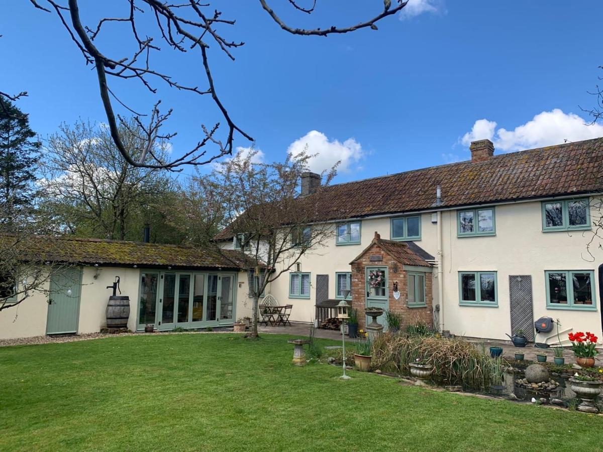 The Nest At Walnut Cottage Burrowbridge Exteriér fotografie